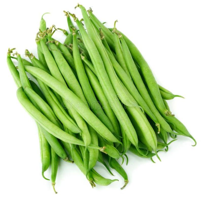 kacang panjang